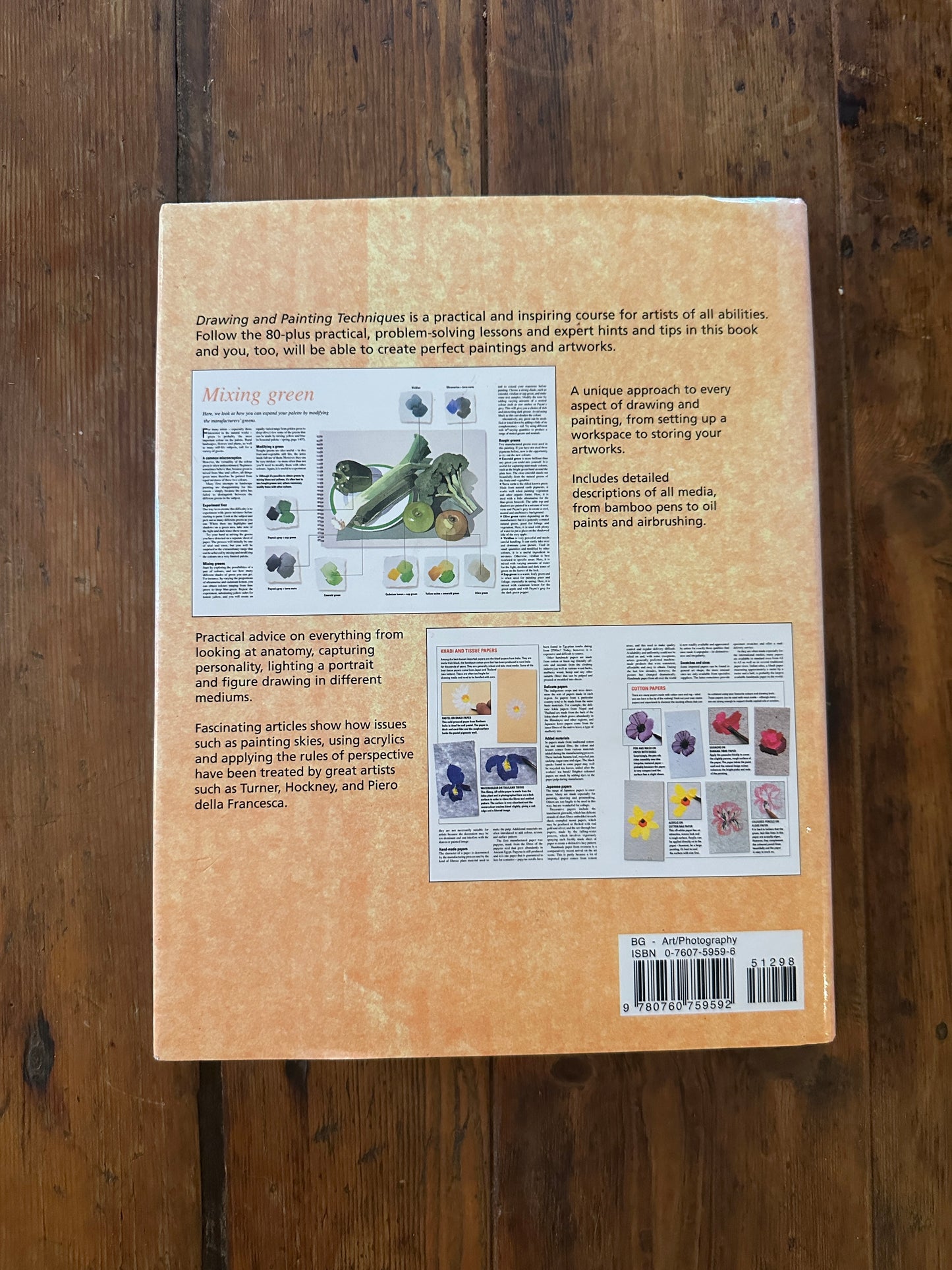 Tripp's Store / BOOKS / Drawing & Painting Techniques - a step-by-step guide / Hard back