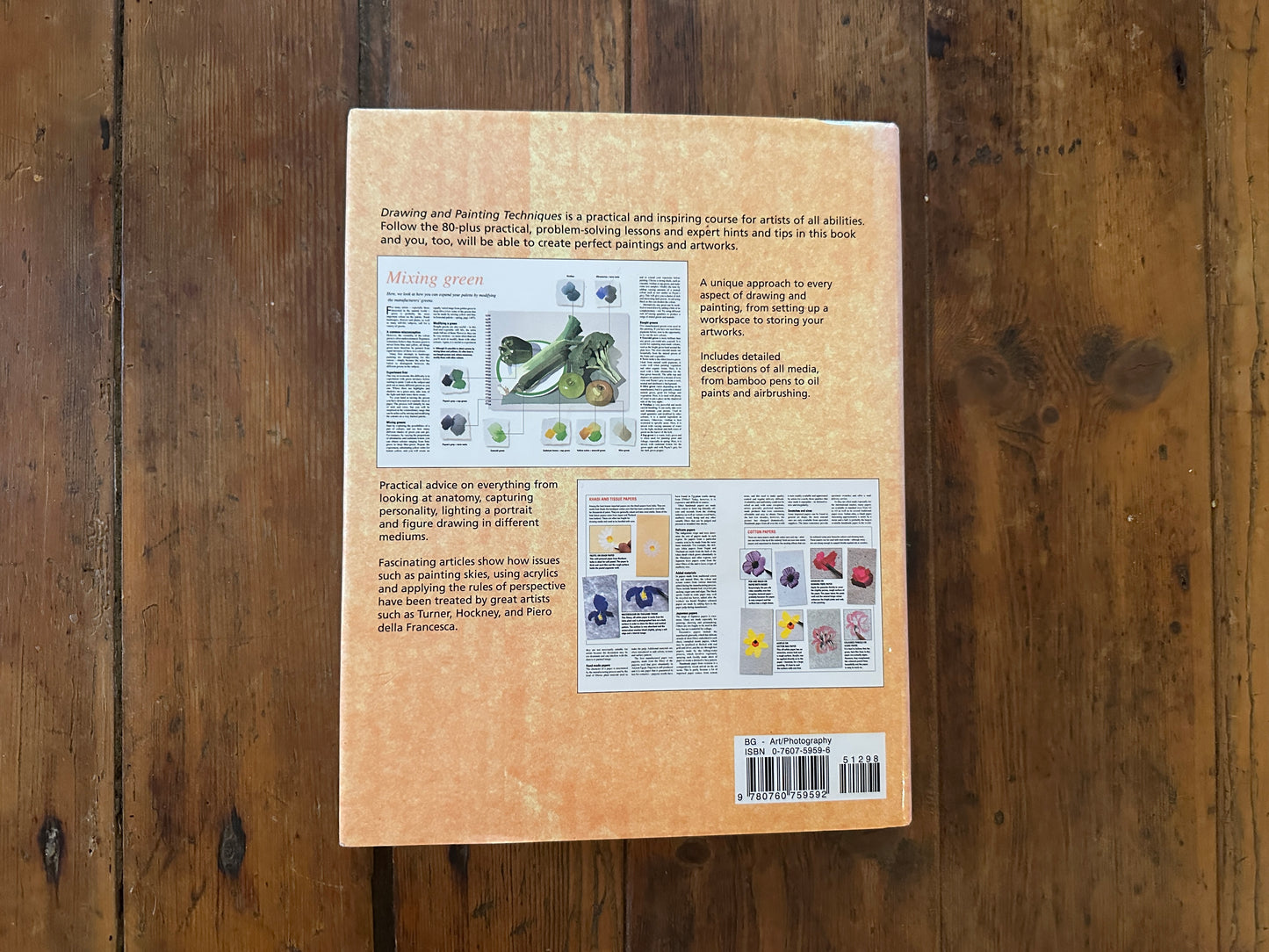 Tripp's Store / BOOKS / Drawing & Painting Techniques - a step-by-step guide / Hard back
